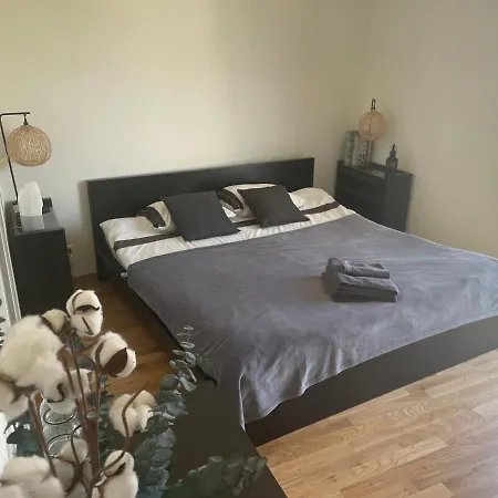 Private Bedroom And Bathroom In Shared ゲストハウス